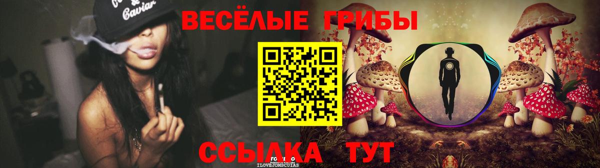 Псилоцибиновые грибы GOLDEN TEACHER  Вход с VPN  Муром 